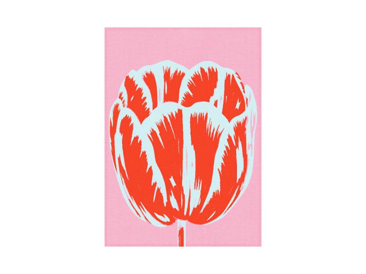 Torchon, Tulipe ligne pop rose