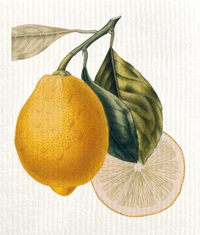 Reinigungslappen Zitrone