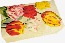 Tulpenseife