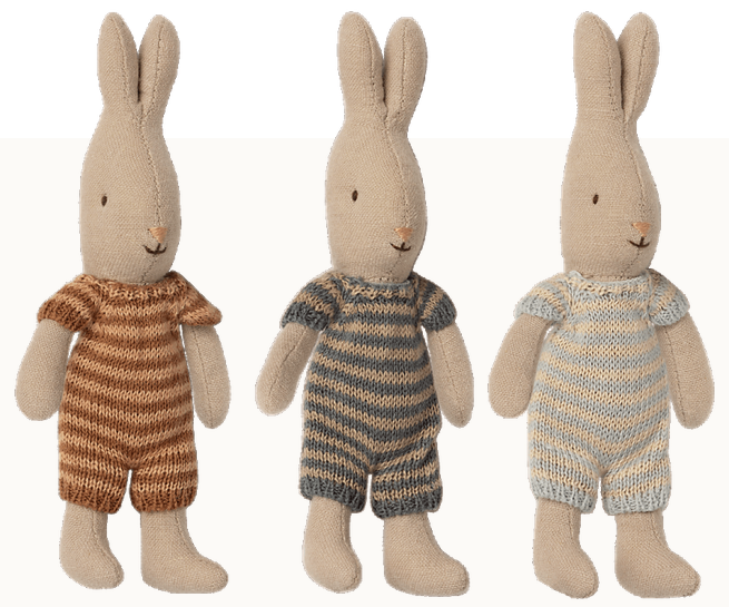 Lapin, micro