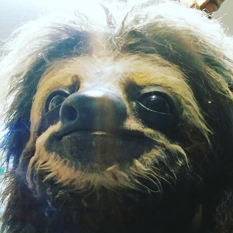 16748
