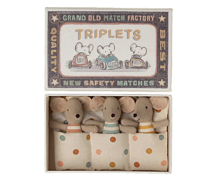 Triplés, bébés souris dans une boîte d`allumettes