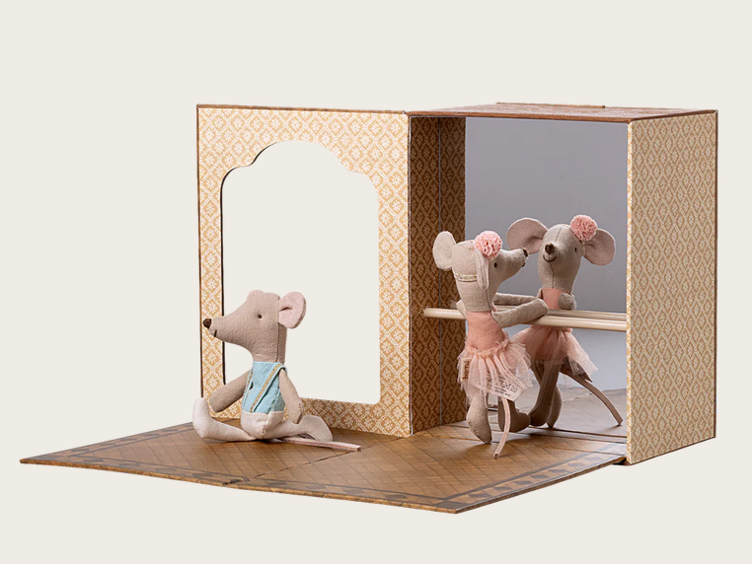 Souris ballerines dans un studio de danse