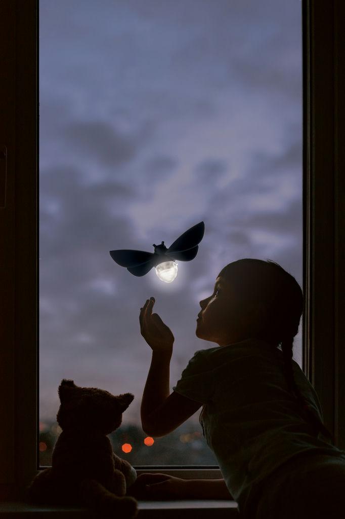 Lightbug Veilleuse à énergie solaire