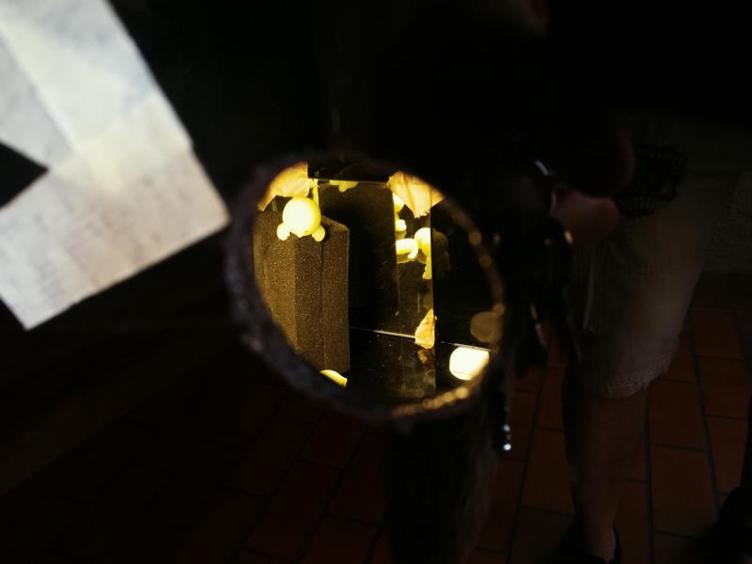 Mauseum