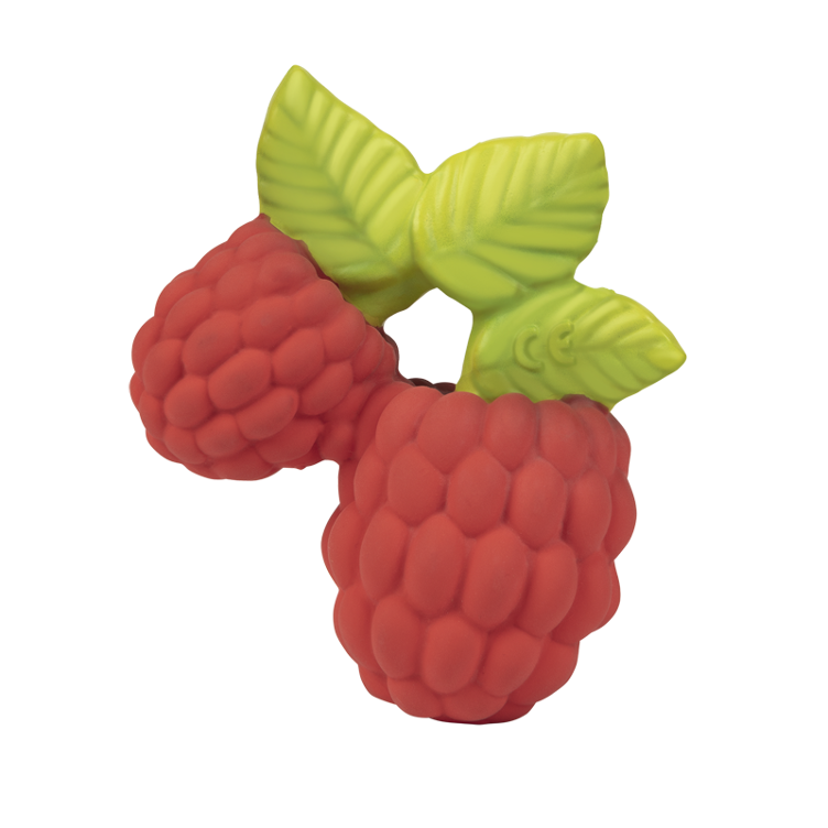 VALERY the Raspberry