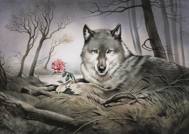 A5 Postkarte Wolf und Rose