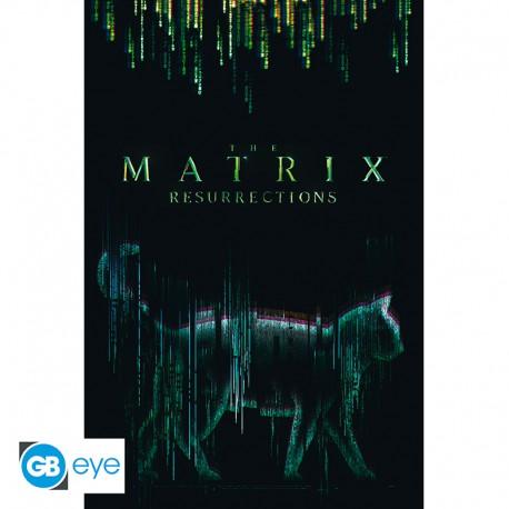 MATRIX - Poster `Chat`(91.5x61)