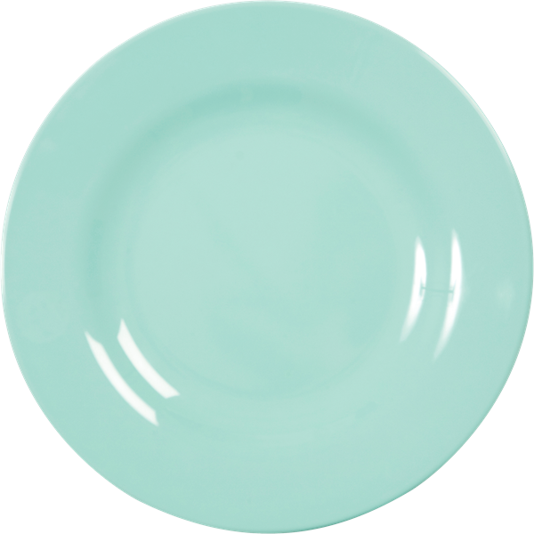 Lunch Plate - Dark Mint