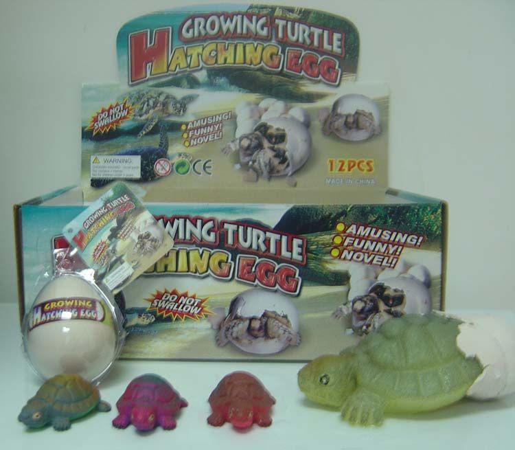 growing egg turtel