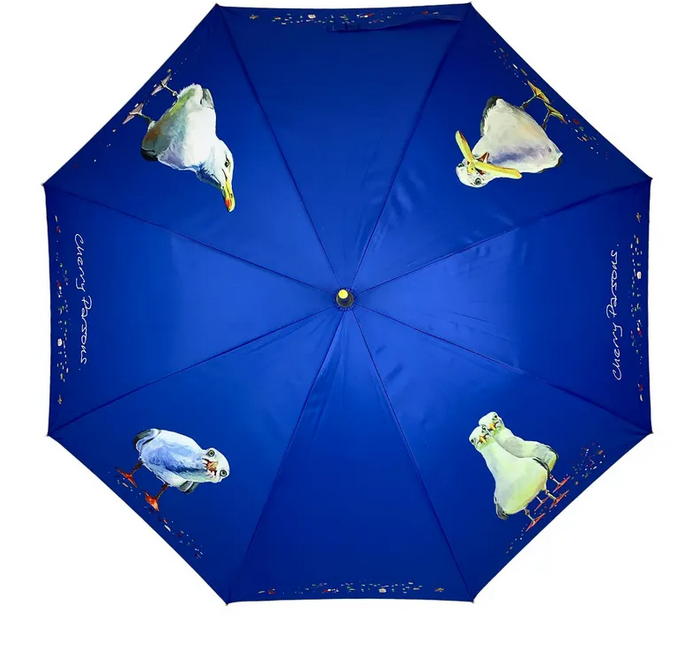 Parapluie à canne mouette