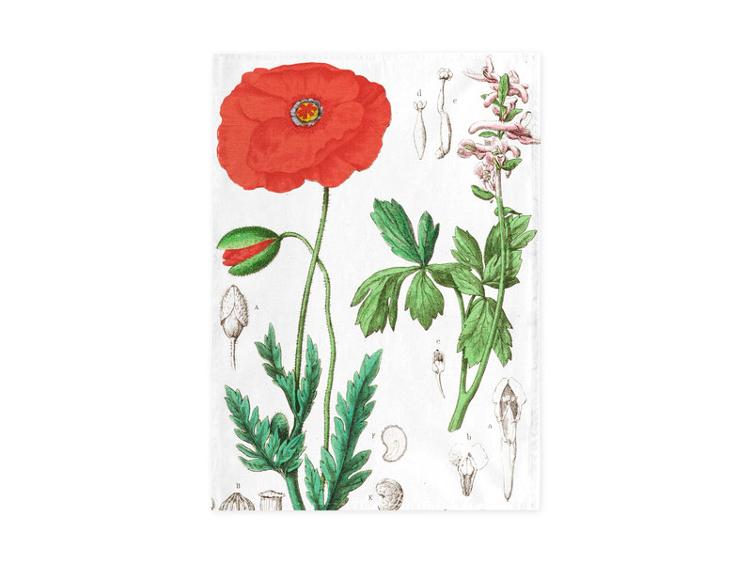 Geschirrtuch Mohn, Hortus Botanicus