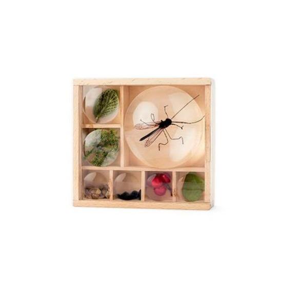 Huckleberry Bug Box