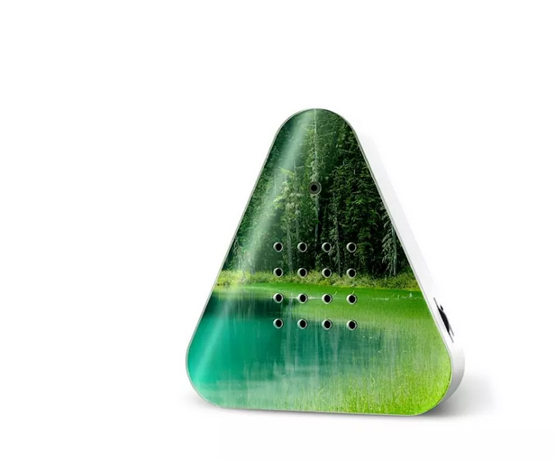 Lakesidebox Forest Lake