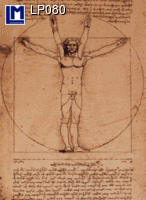 DA VINCI - VITRUVIAN MAN