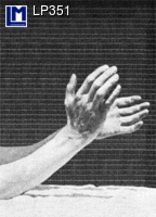 MUYBRIDGE, HANDS