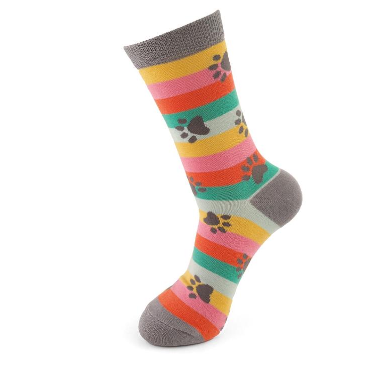 36 - 40 Paw Prints & Stripes Socks Bright