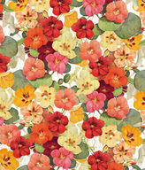 Chiffon de vaisselle écologique « Été »