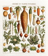 Lingettes écologiques légumes