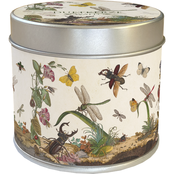 Bougie parfumée « Forêt »