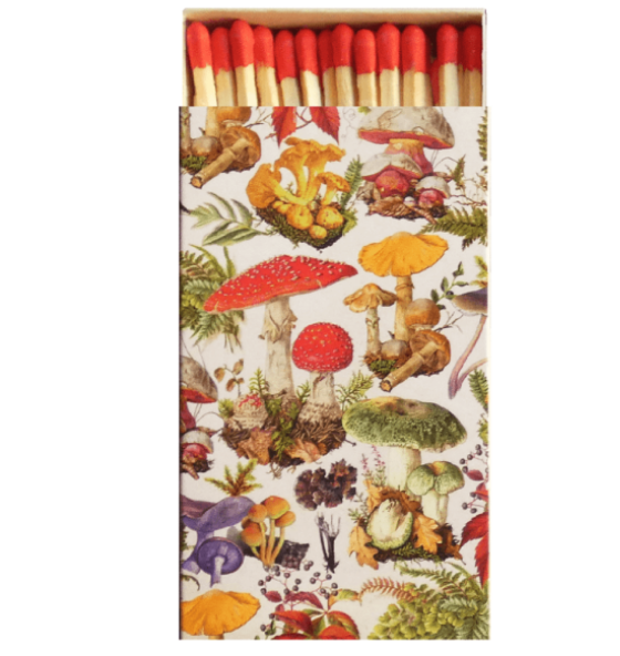 Streichholzschachtel Pilze