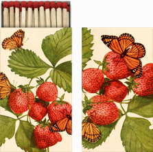 Boîte d`allumettes Papillon