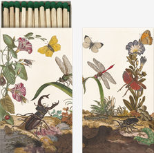 Boîte d`allumettes « Insectes