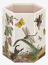 Stiftebecher Insekten