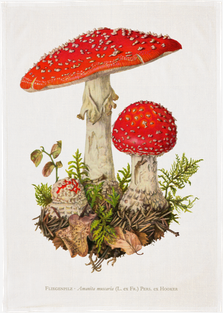 Torchon « Champignon »