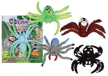 colored growing spider