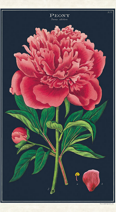 PEONY- VINTAGE TEA TOWEL