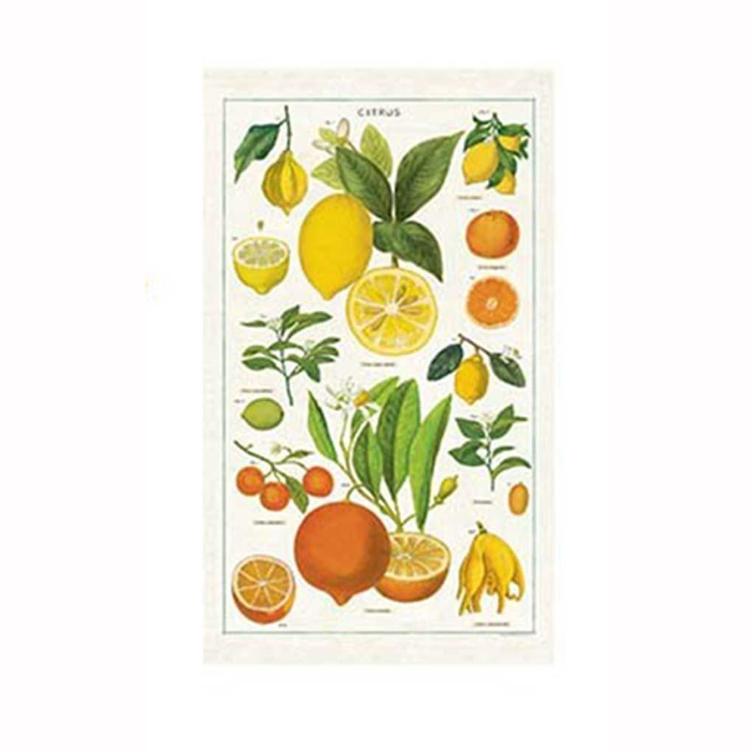 CITRUS - VINTAGE TEA TOWEL