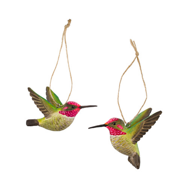 DecoBird Annakolibri