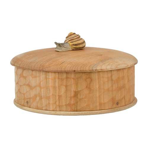 Kästchen Schnecke