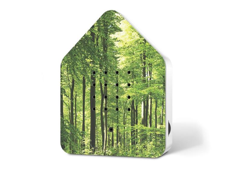 Zwitscherbox Forêt